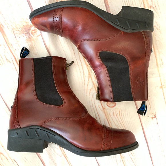 Ariat Shoes - Ariat Paddock Boots